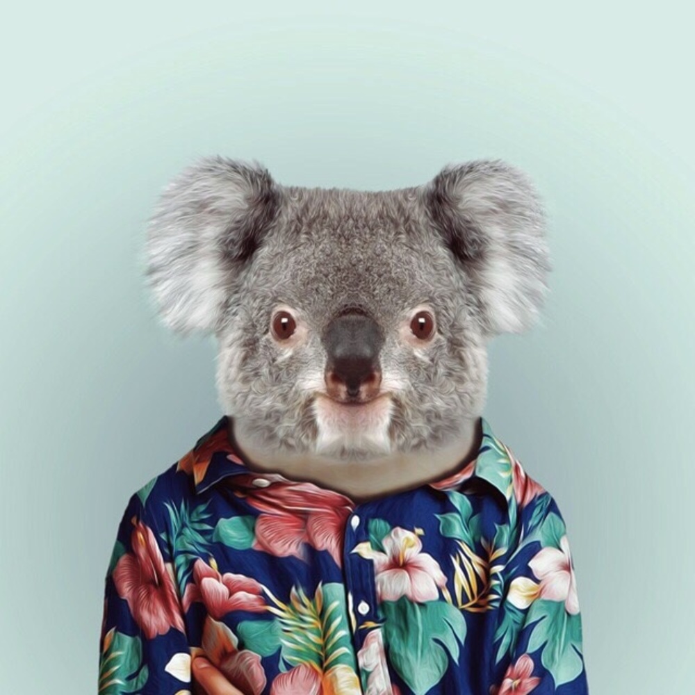 Meet your Posher, Macy